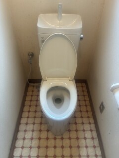 IMG_5403