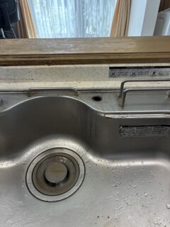 IMG_5662